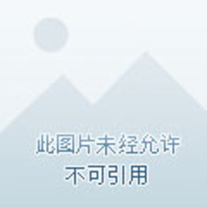 阳泉信息中心：如何更好地利用数字化工具提升工作效率